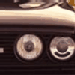 sensata